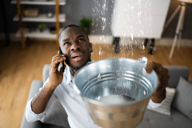 Water damage restoration mold remediation in Dunlap, IL