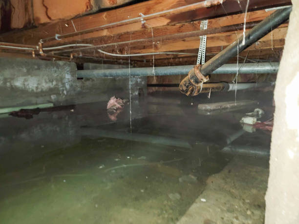 Best Emergency water damage restoration  in Dunlap, IL