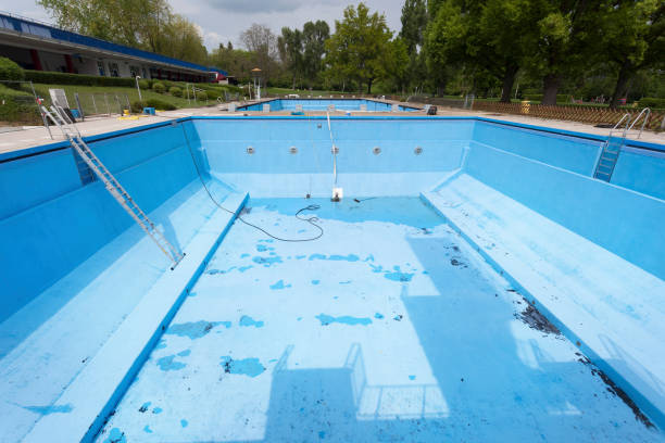 Best Water damage cleanup near me  in Dunlap, IL