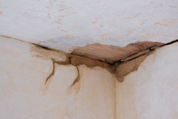 Best Local water damage restoration  in Dunlap, IL