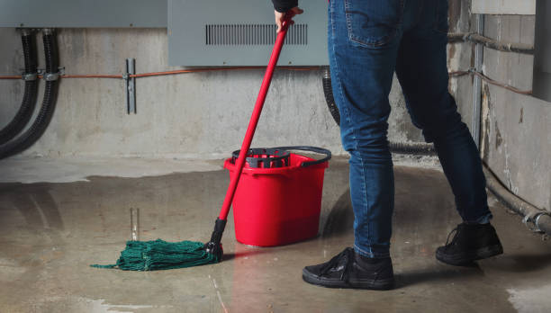 Best Carpet water damage restoration  in Dunlap, IL