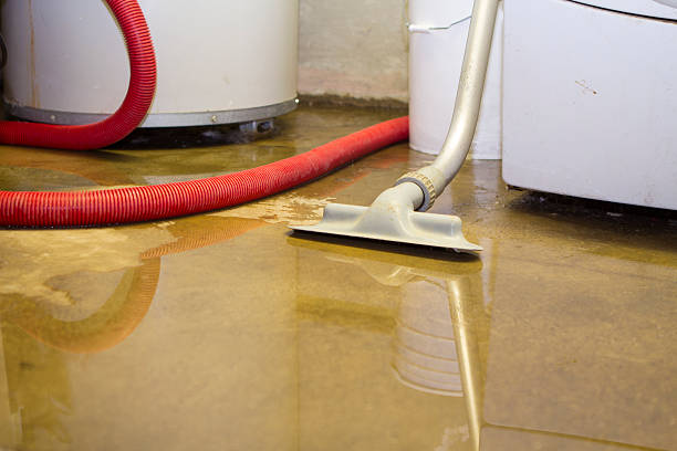 Best Water damage cleanup near me  in Dunlap, IL