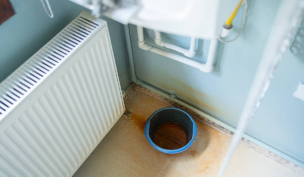 Best Flood restoration services  in Dunlap, IL