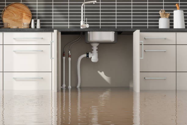 Best Sewage cleanup and water damage restoration  in Dunlap, IL