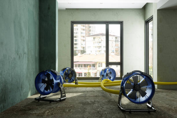 Best Water damage restoration near me  in Dunlap, IL