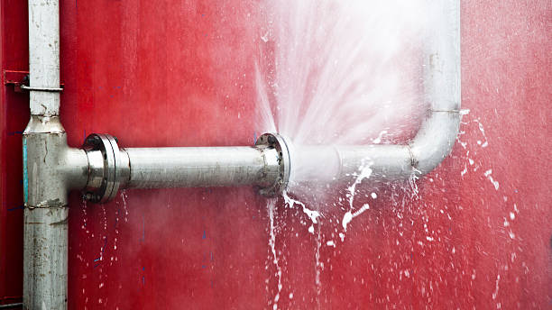 Best Water damage contractors near me  in Dunlap, IL