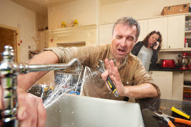 Best Residential water damage restoration  in Dunlap, IL